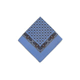 Light Blue Brown Tear Drop Silk Pocket Square With A Paisley Border - British Made